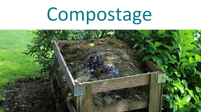 épluchures de légumes, tonte, bac de compost