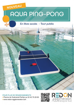 Affiche aqua ping pong Guémené